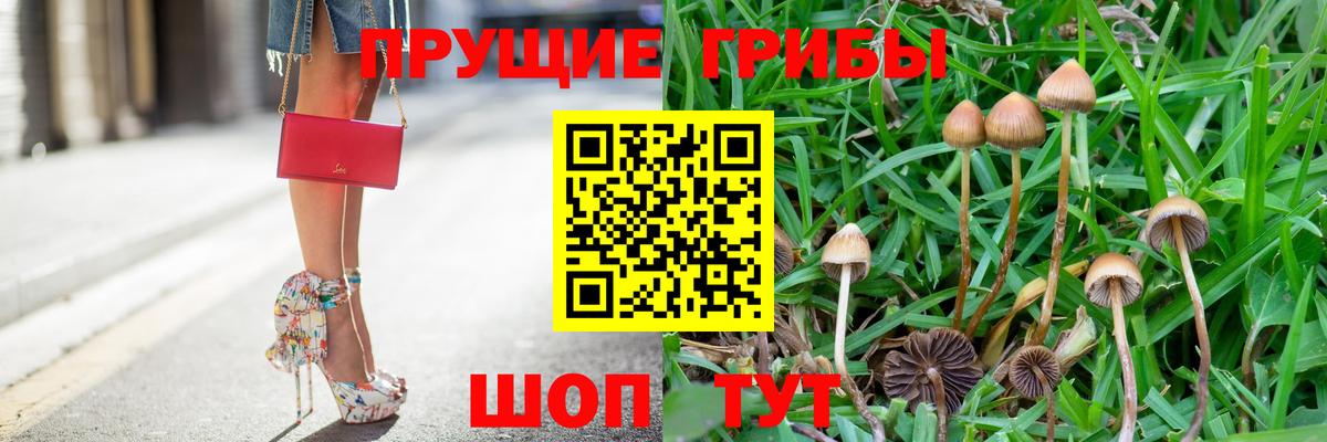 Галлюциногенные грибы ЛСД  Псилоцибиновые грибы Cubensis  Вход с VPN  Североморск 